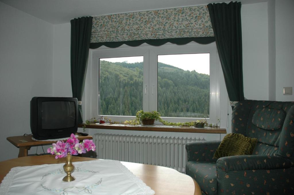 Ferienwohnungen Otto Schmallenberg Quarto foto